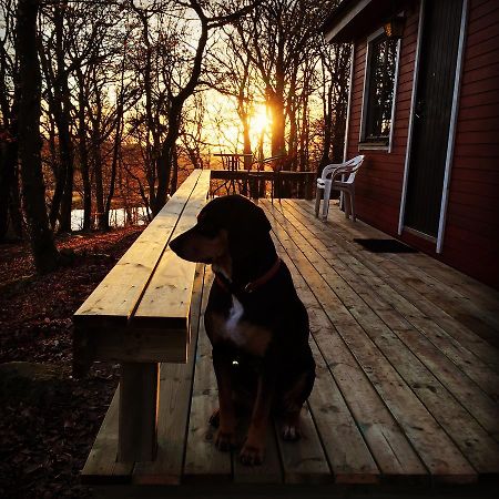 Farm Stay Happy Dogs Ranch Veberod Ngoại thất bức ảnh