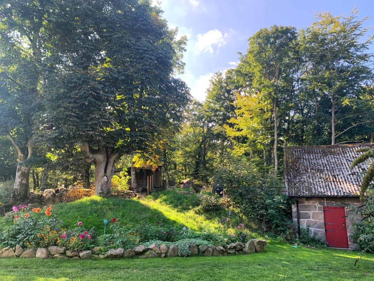 Farm Stay Happy Dogs Ranch Veberod Ngoại thất bức ảnh